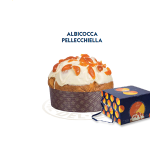 Panettone Artigianale Albicocche Pellecchielle del Vesuvio da 1 kg